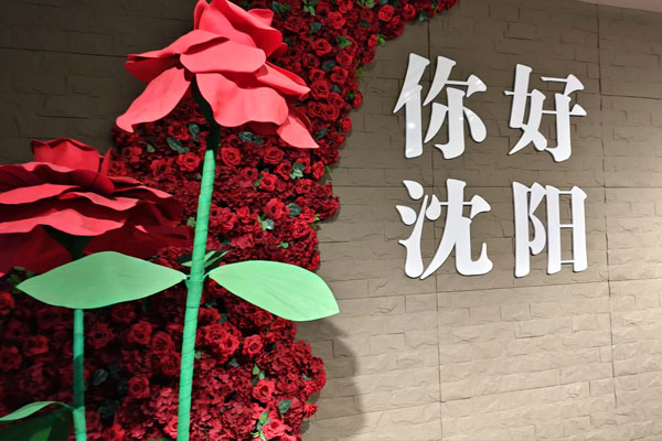 你好沈陽(yáng)，墓地陵園的見(jiàn)證與思考