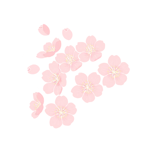 母親節代祭服務(wù)，沈陽(yáng)龍生墓園以專(zhuān)業(yè)守護每一份牽掛
