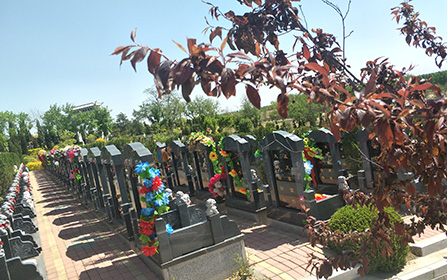 沈陽(yáng)龍生墓園
