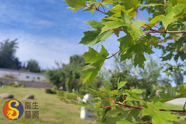 沈陽(yáng)龍生墓園